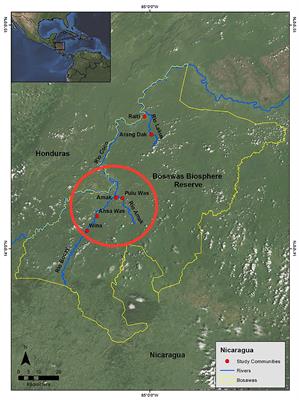 Fur Color and Nutritional Status Predict Hair Cortisol Concentrations of Dogs in Nicaragua